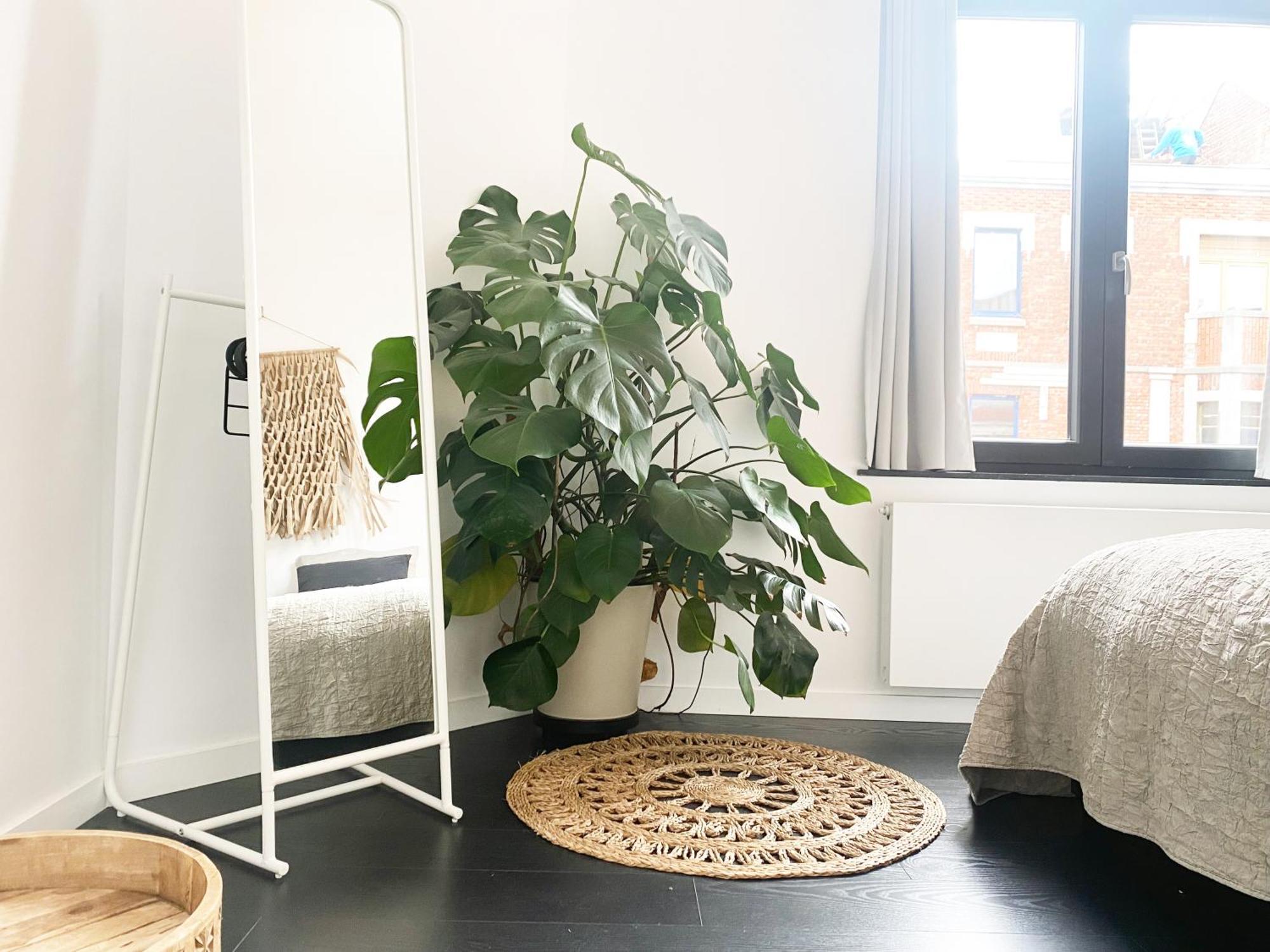 Nyaman Villa Oostende Bagian luar foto